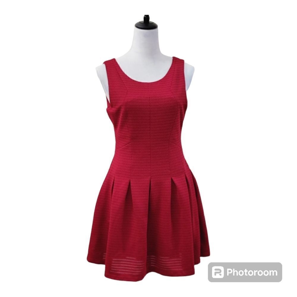 Hot & Delicious A-Line Mini Dress Pleated Sleeveless Back Zip Red Size M